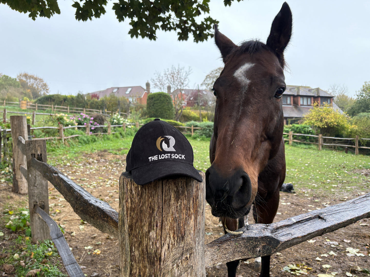 RaceShare x Racing TV The Lost Sock Baseball Cap