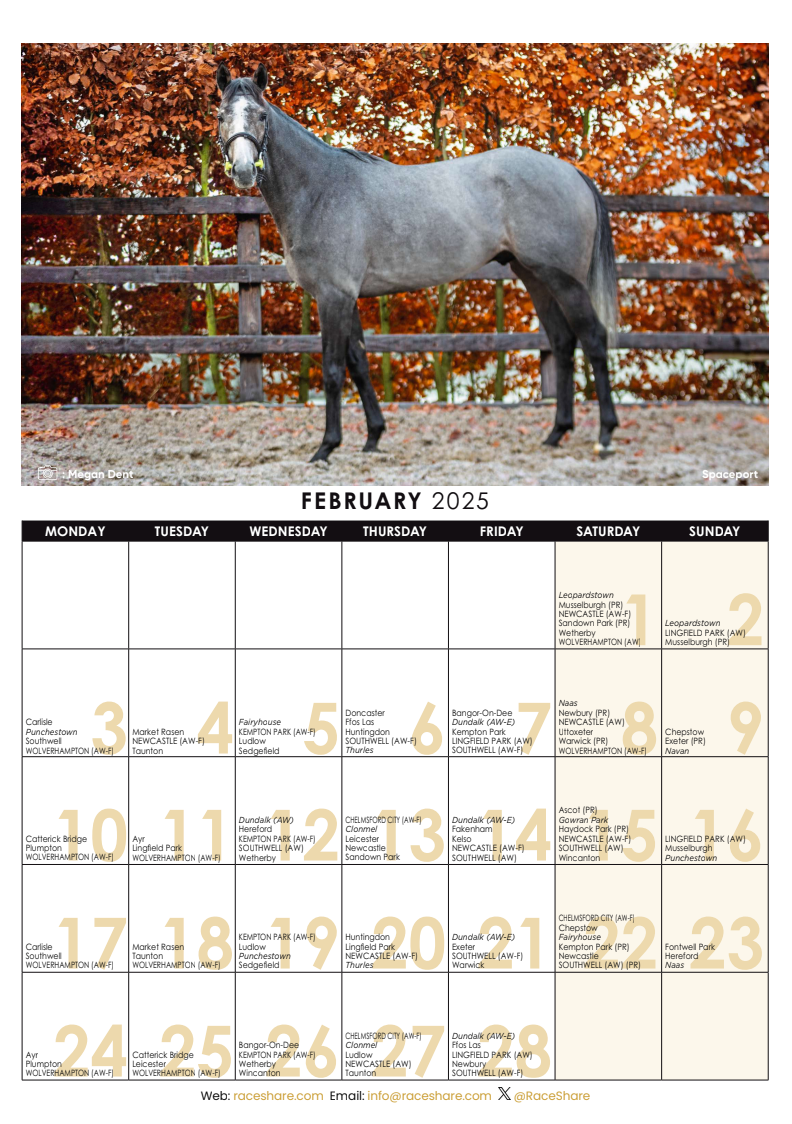 RaceShare 2025 A3 Wall Calendar