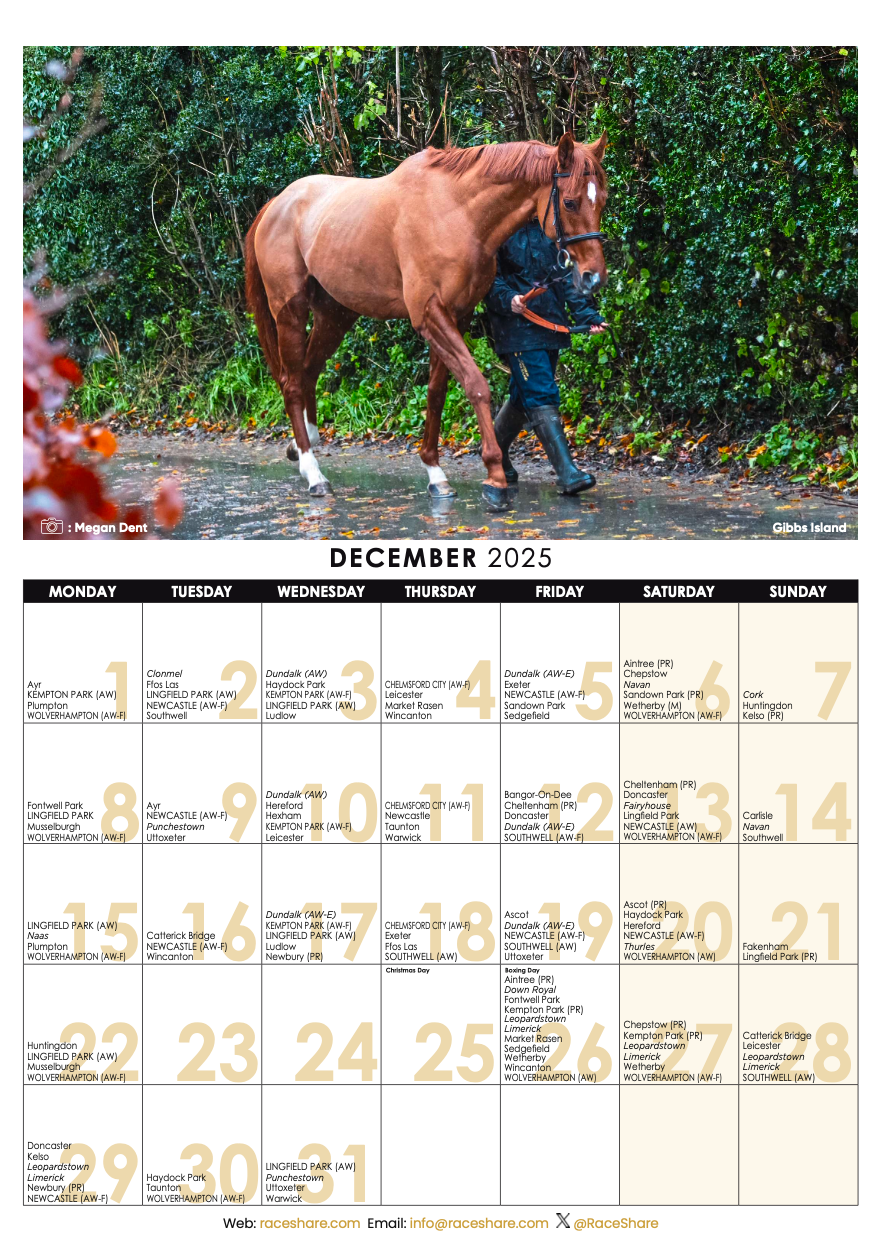 RaceShare 2025 A3 Wall Calendar